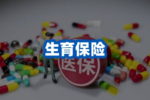 生育保险案例