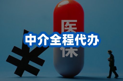 中介全程代办