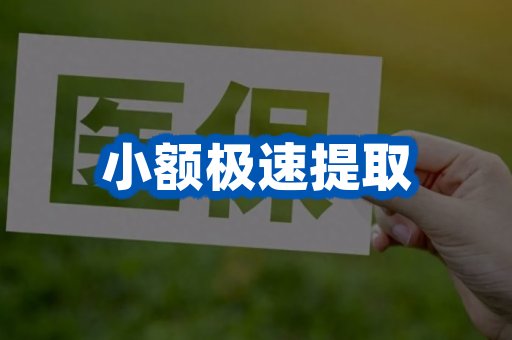 小额极速提取